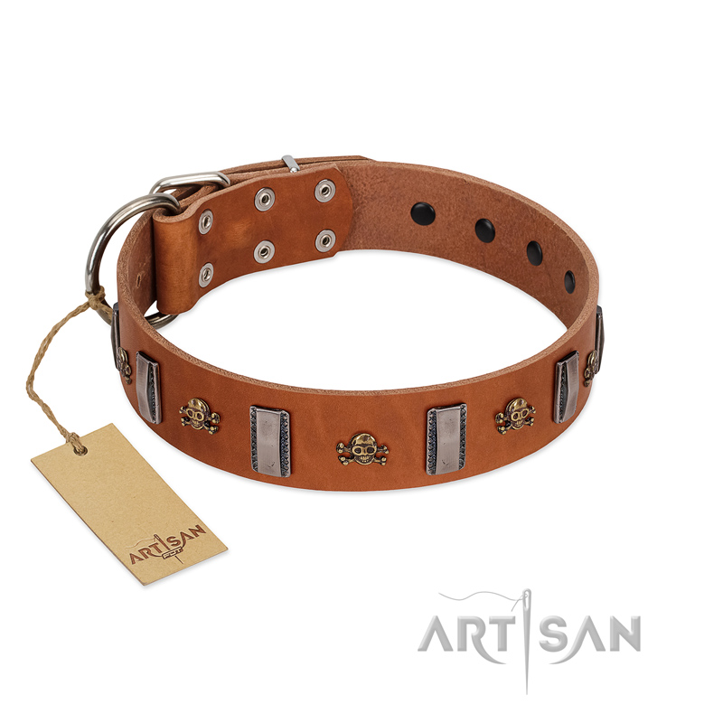 (image for) "Golden Crossbones" Handmade FDT Artisan Tan Leather American Bulldog Collar with Plates and Skulls