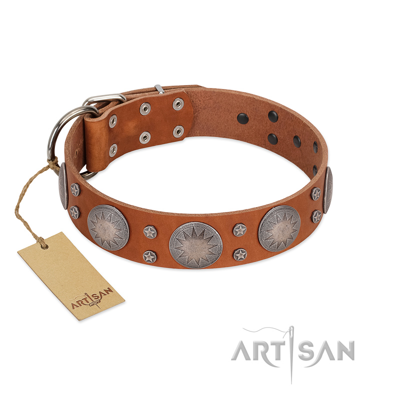 (image for) "Far Star" FDT Artisan Tan Leather American Bulldog Collar with Engraved Studs