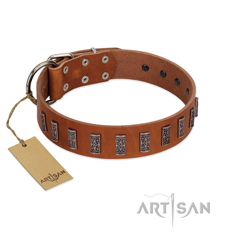 (image for) "Silver Century" Fashionable FDT Artisan Tan Leather American Bulldog Collar with Silver-Like Plates