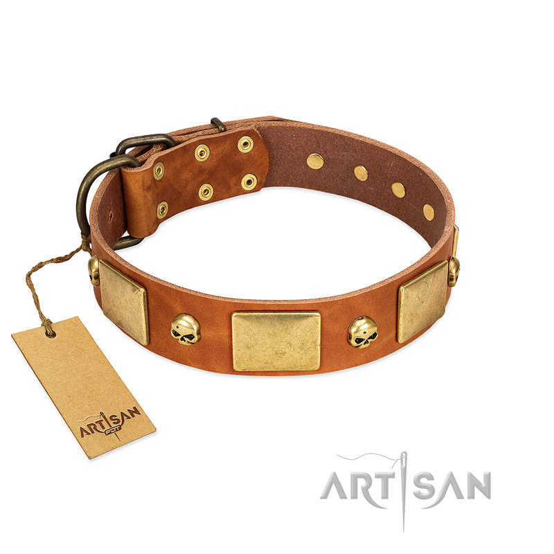 (image for) "Mutt The Daredevil" FDT Artisan Tan Leather American Bulldog Collar with Old Bronze-like Skulls and Plates