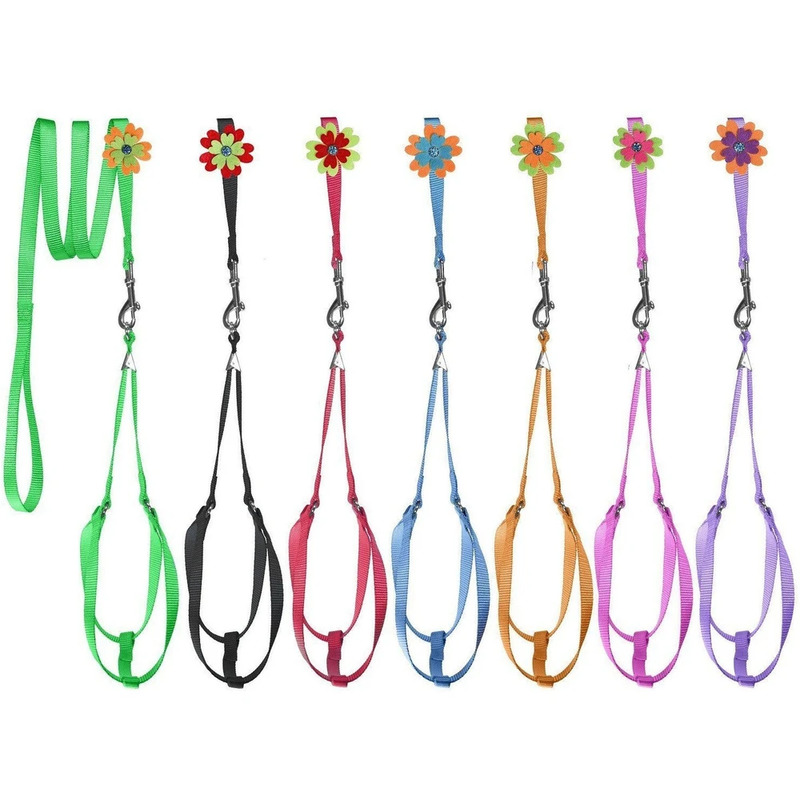 (image for) Step-In Nylon Harness + Optional Flower Leash