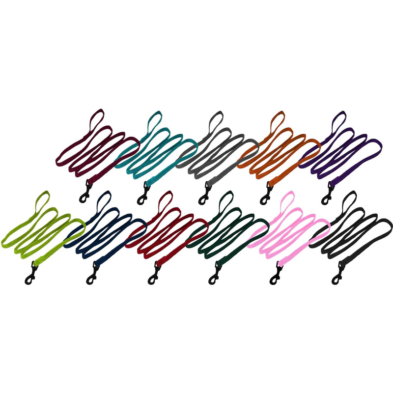 (image for) Nylon Traffic Leash