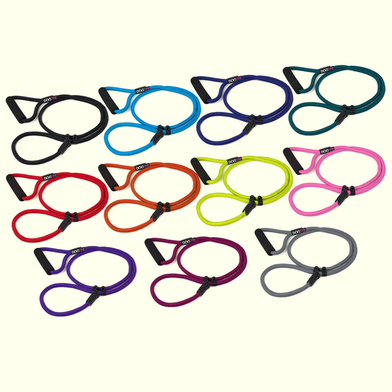 (image for) Nylon Slip lead