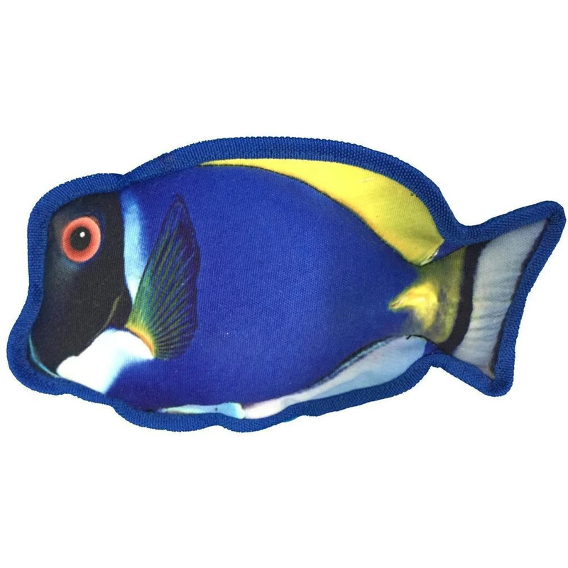 (image for) 10" Tropical Blue Tang
