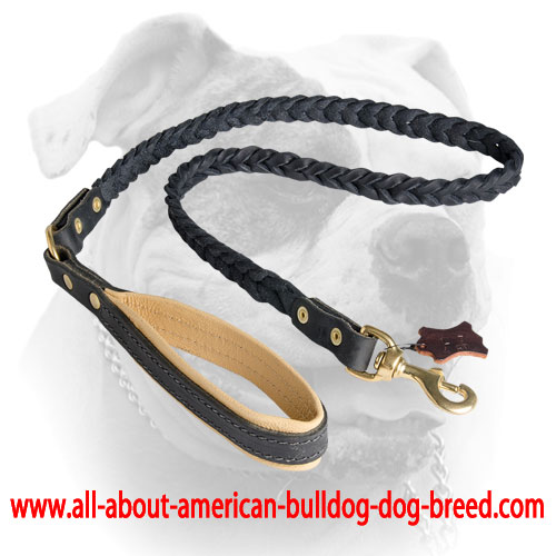 Decorative American Bulldog Leather Dog Leash