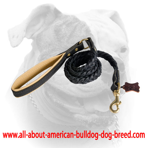 Handmade American Bulldog Leather Dog Leash