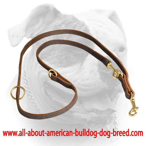 Snap hooks and O-rings help to change the length of this American Bulldog leash