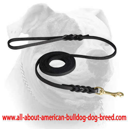 Elegant leather American Bulldog leash with brass plated snap hook