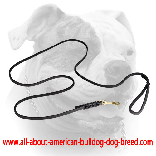 Short stylish braids for leather American Bulldog leash