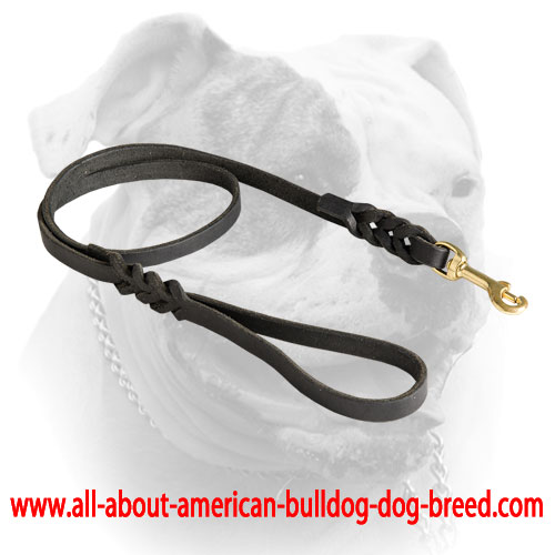 Brass snap hook for braided leather American Bulldog leash