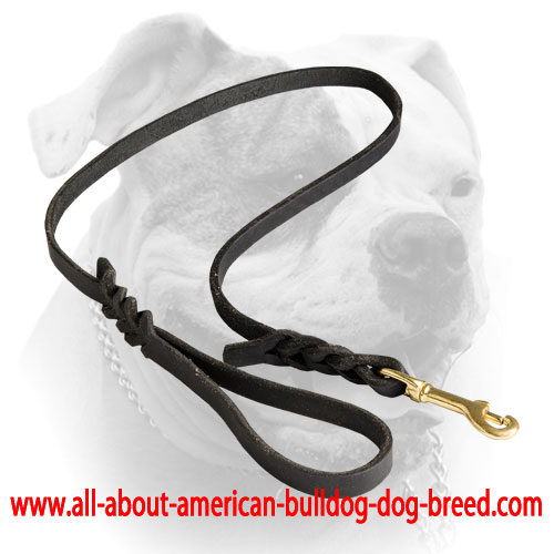 Braided genuine leather American Bulldog leash