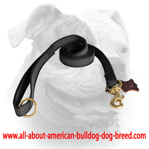 I-grip nylon leash with soft handle for American Bulldog