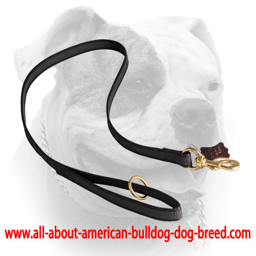 I-grip nylon American Bulldog leash with floating O-ring on the handle