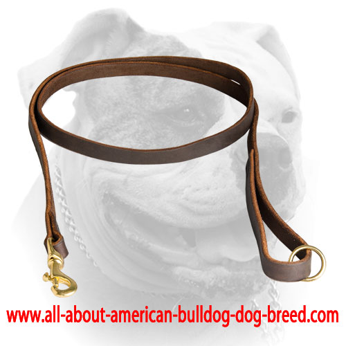Comfy handle and brass O-ring for leather American Bulldog leash