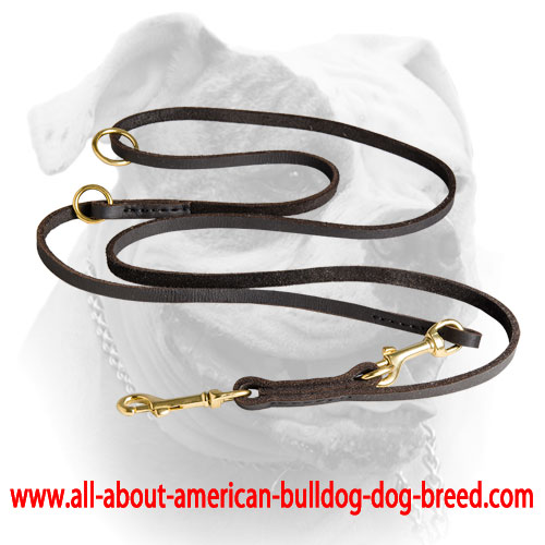 Brass hardware for reliable leather American Bulldog leash