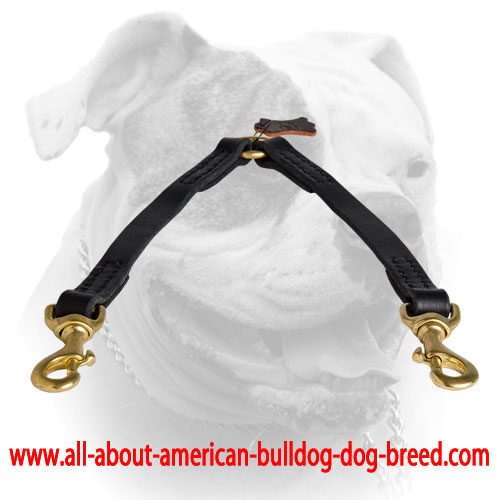 Leather leash coupler for walking two dogs