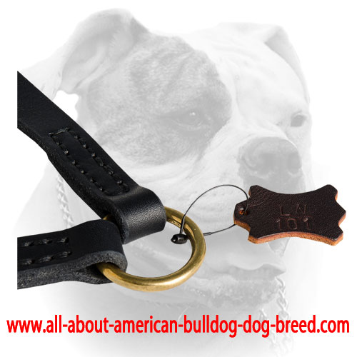 Double stitched leather leash coupler with brass O-ring for American Bulldog