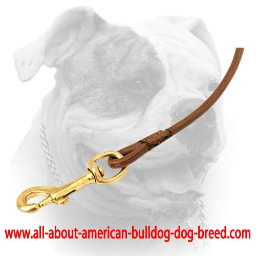 Dog show leather leash with brass snap hook for American Bulldog