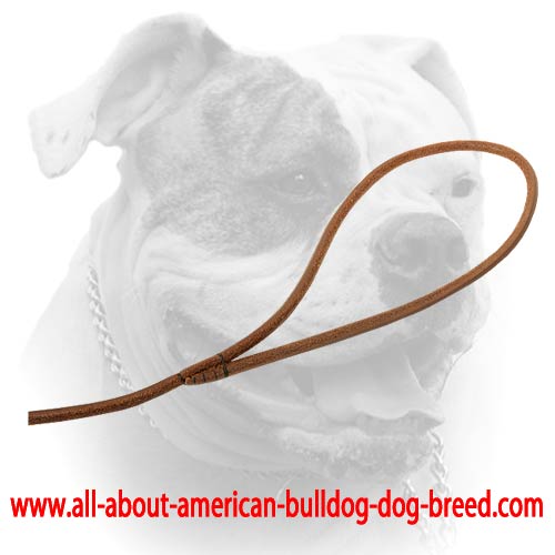 Soft comfy handle for narrow leather American Bulldog leash