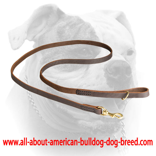 Strong double stitched leather American Bulldog leash