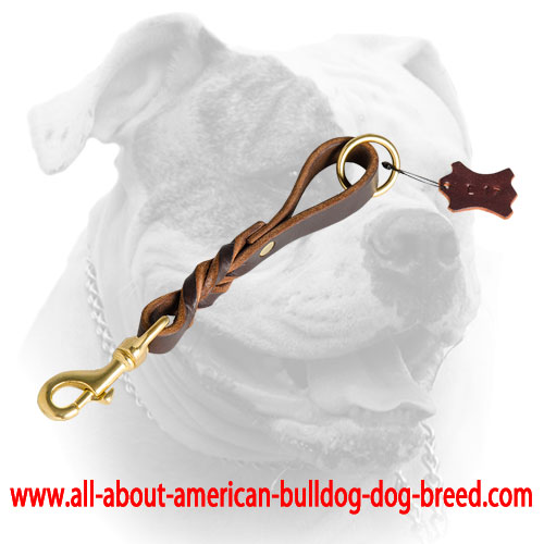 Elegant short braided leather leash for American Bulldog