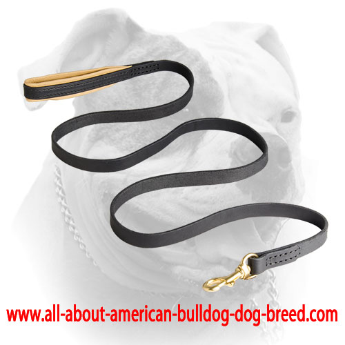 Durable genuine leather leash for American Bulldog