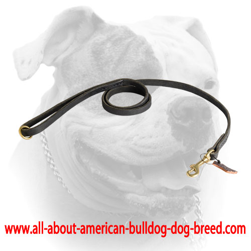 Stitched American Bulldog leather leash with brass O-ring and snap hook