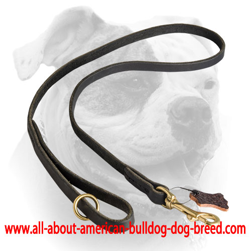 Extra O-ring on a handle for leather American Bulldog leash