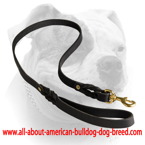 Walking genuine leather leash for American Bulldog