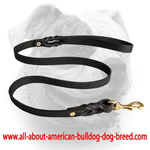 Securely stitched wide leather American Bulldog leash