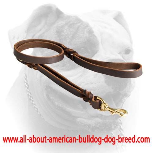 Leather American Bulldog leash with extra handle