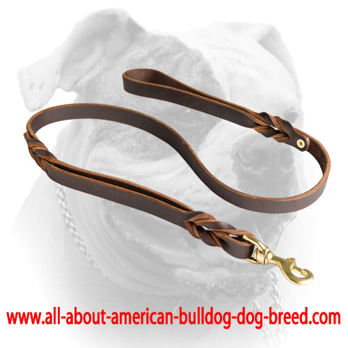 Reliable brass hardware for American Bulldog leather leash