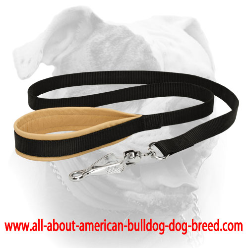 Nappa padded handle and nickel plated scissors type snap hook for nylon American Bulldog leash