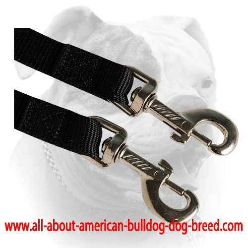 Nylon leash coupler with reliable nickel snap hooks for American Bulldog