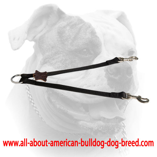 Walk 2 dogs simultaneously with this nylon leash coupler for American Bulldog