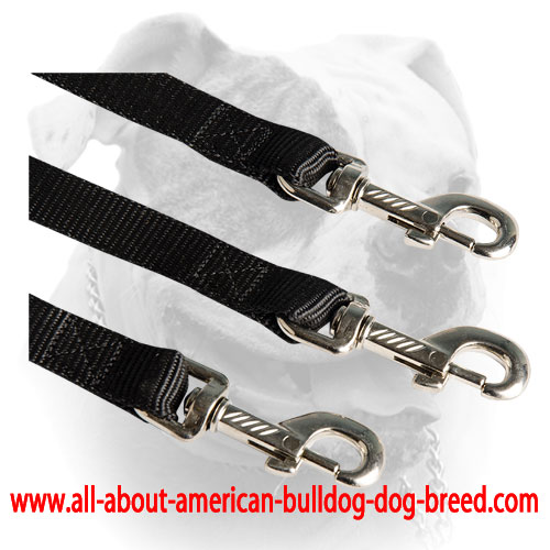 Rust proof nickel fittings for nylon American Bulldog leash coupler