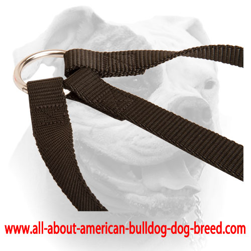 Nylon coupler with O-ring for attaching a leash for American Bulldog