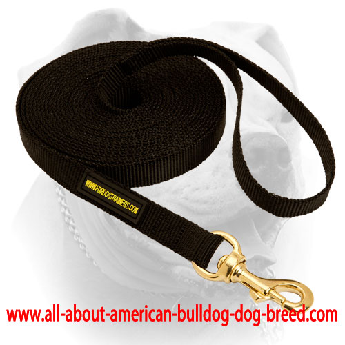 Durable walking American Bulldog nylon leash