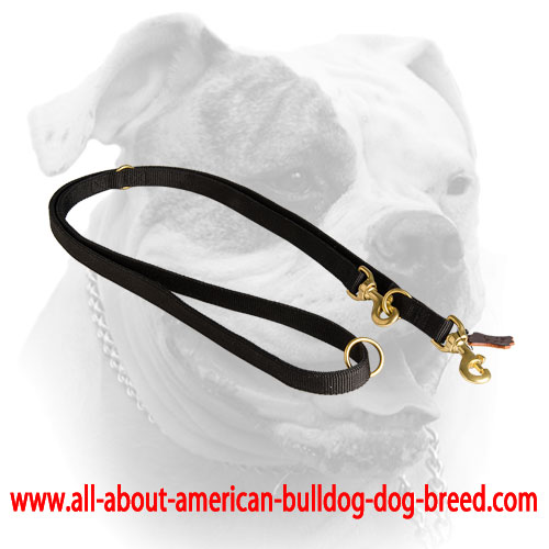 Tracking American Bulldog leash with floating brass O-ring