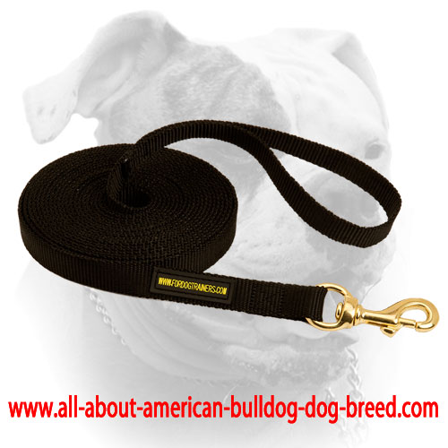 Brass snap hook for nylon American Bulldog leash