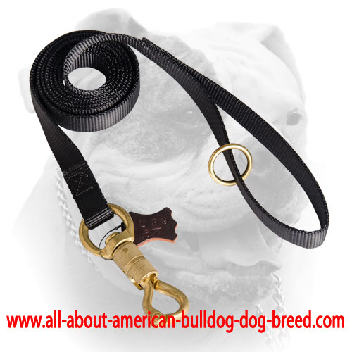 Nylon American Bulldog leash with floating O-ring on the handle