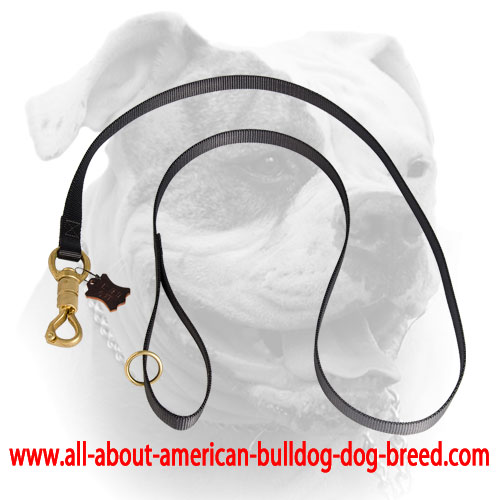 Brass smart lock for nylon American Bulldog leash