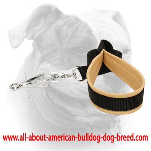 Nylon American Bulldog leash with padded handle