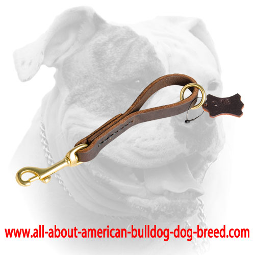 Leather leash with O-ring for American Bulldog