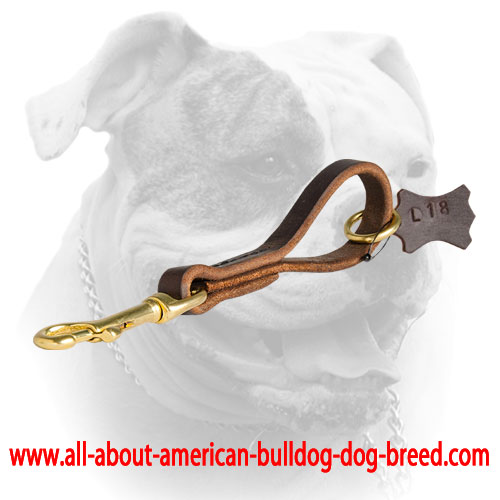 Stitched leather short leash for American Bulldog