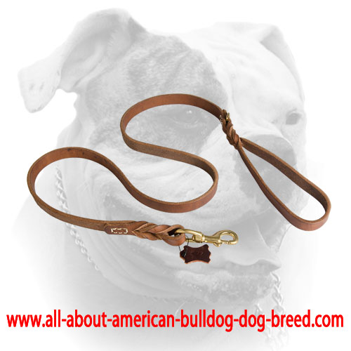 Short braids and decorative stitching for leather American Bulldog leash