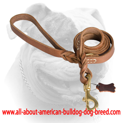 Stitched American Bulldog leash with brass snap hook