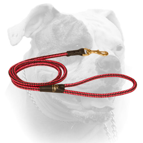 Durable nylon cord leash for American Bulldog