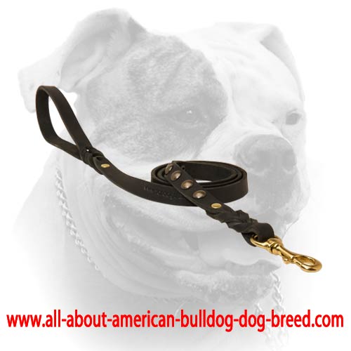 Short riveted braids for leather American Bulldog leash