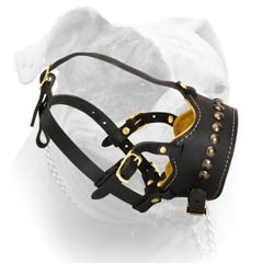 Buy Now Durable Decorative Leather Muzzle For American Bulldog